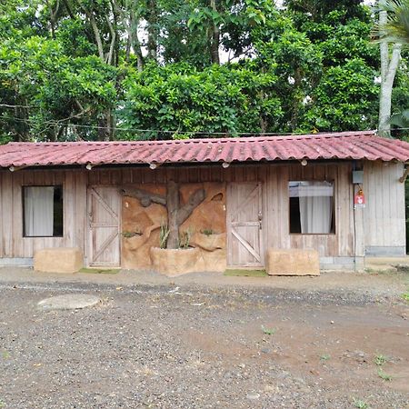 Hotel Del Bosque Rio Cuarto Экстерьер фото