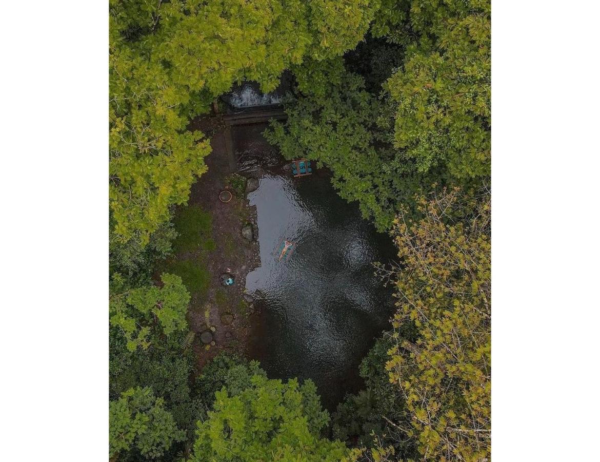 Hotel Del Bosque Rio Cuarto Экстерьер фото