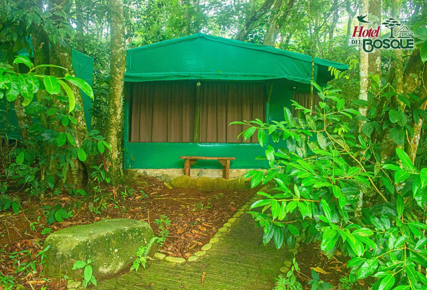 Hotel Del Bosque Rio Cuarto Экстерьер фото