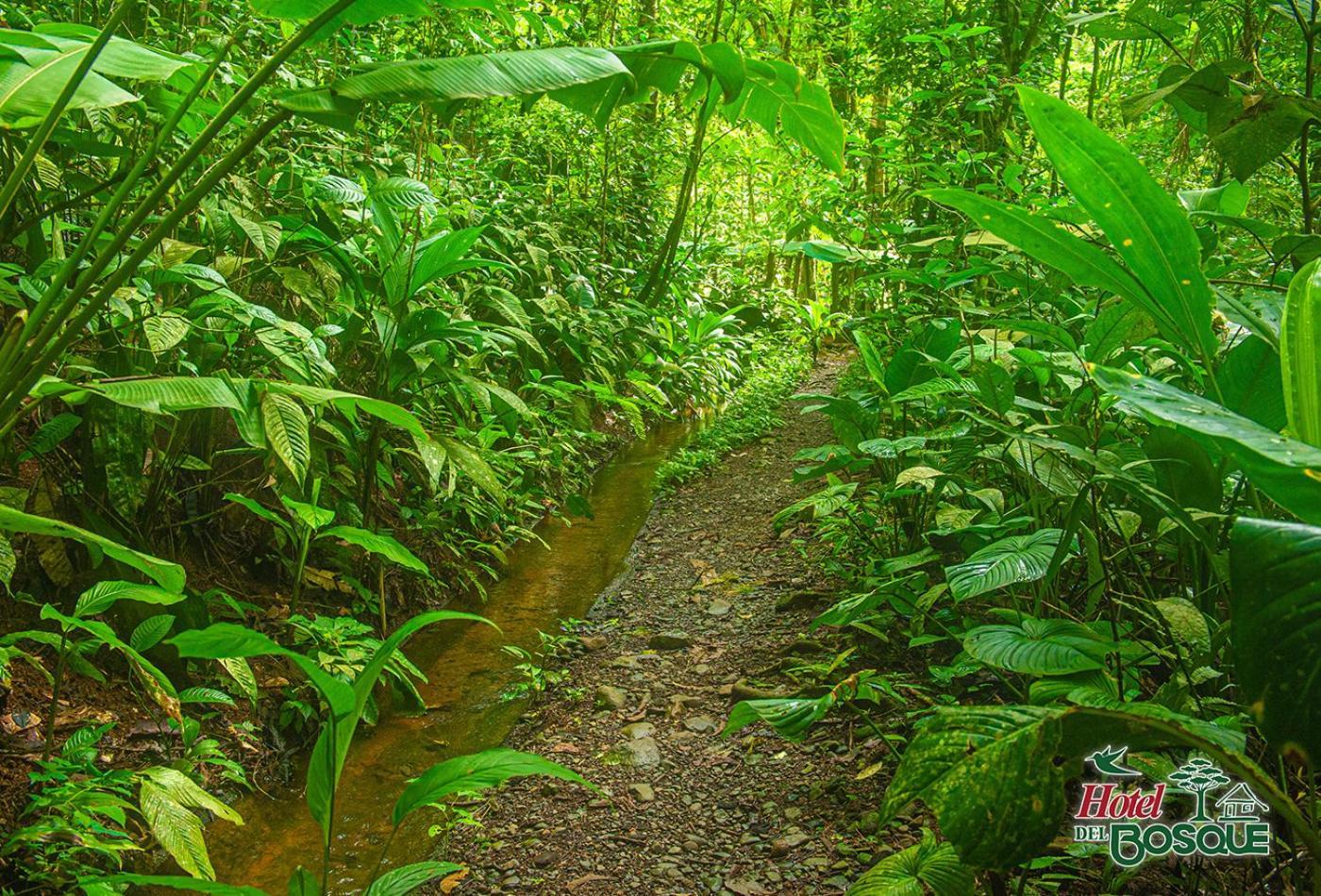Hotel Del Bosque Rio Cuarto Экстерьер фото