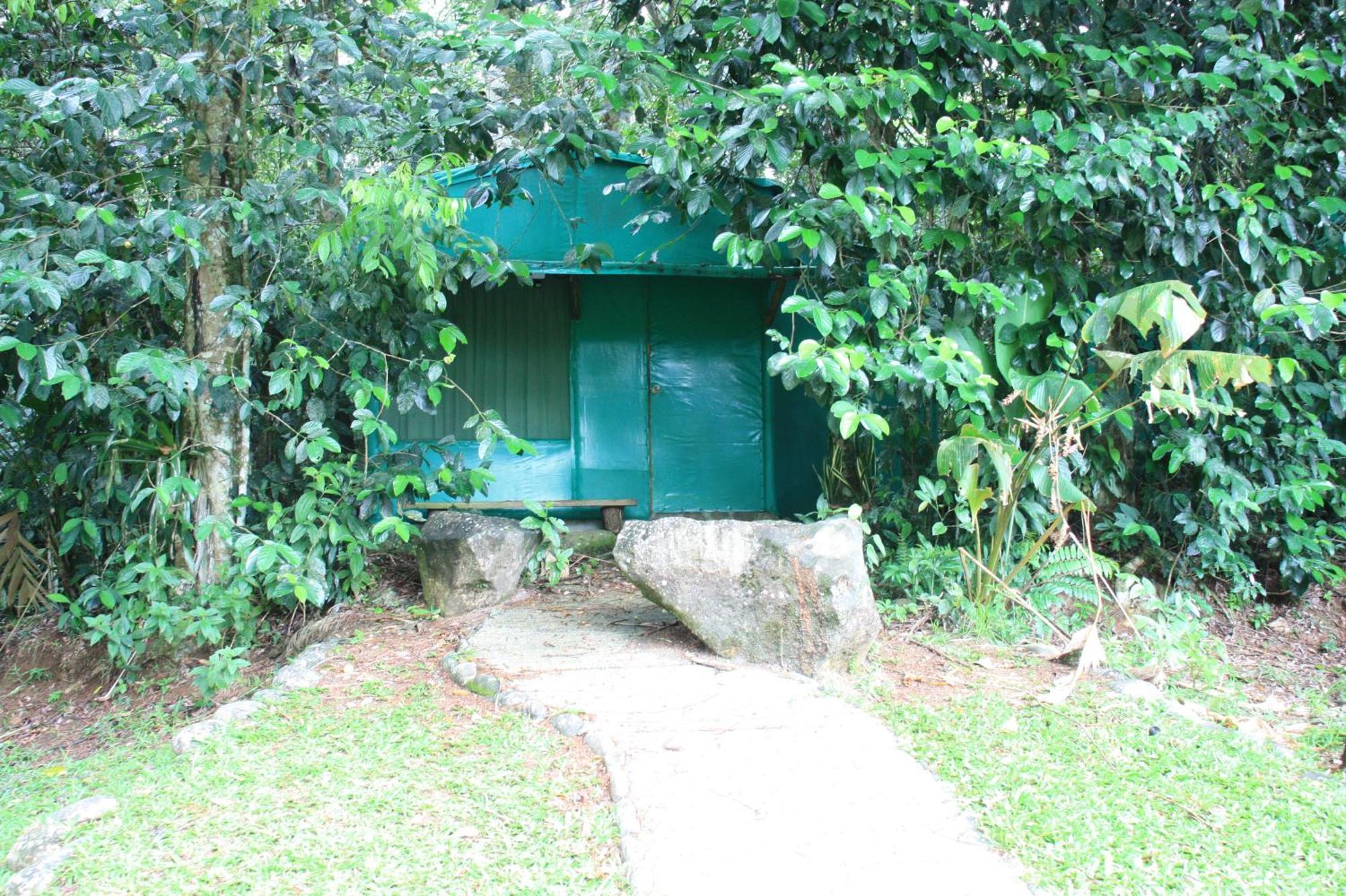 Hotel Del Bosque Rio Cuarto Экстерьер фото
