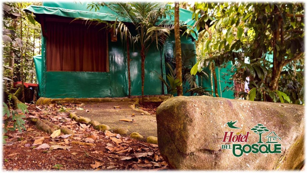 Hotel Del Bosque Rio Cuarto Экстерьер фото